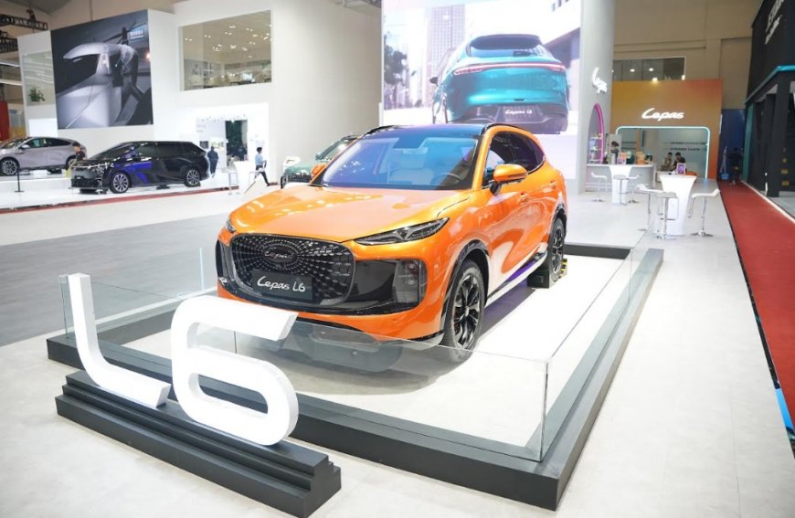 Perjalanan LEPAS Menuju Indonesia Hingga Mendunia