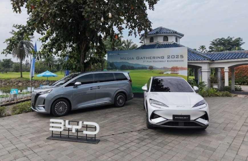 Catat Lebih dari 47.300 Unit Penjualan, BYD dan Denza Berkontribusi Dorong Pasar Nasional EV